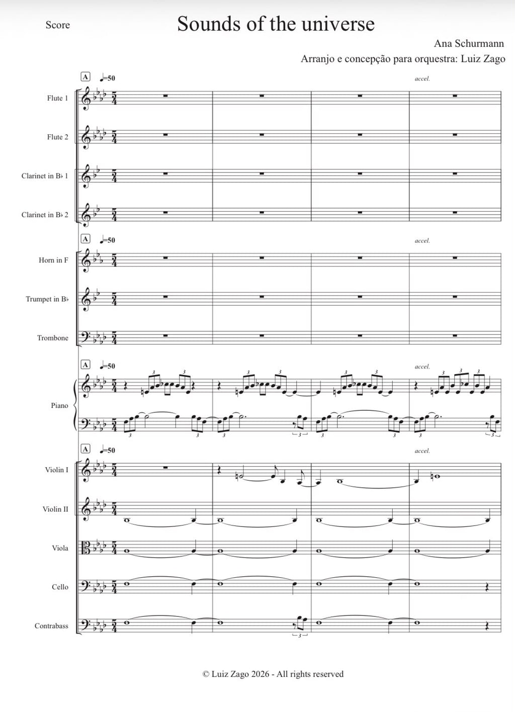 The Harmonic Universe (Chirp Symphony) Orchestral